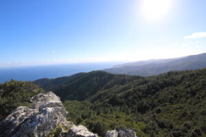 Grün im Winter, Blick vom Monte Santu