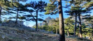 Wandern im Bavella Gebirge