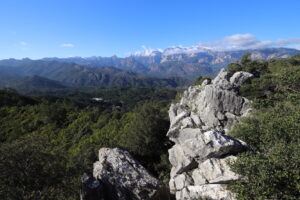 Ausblick vom Monte Santu, Sari Solenzara