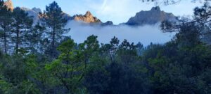 Les aiguilles de Bavella nahe Villa Soleil levant